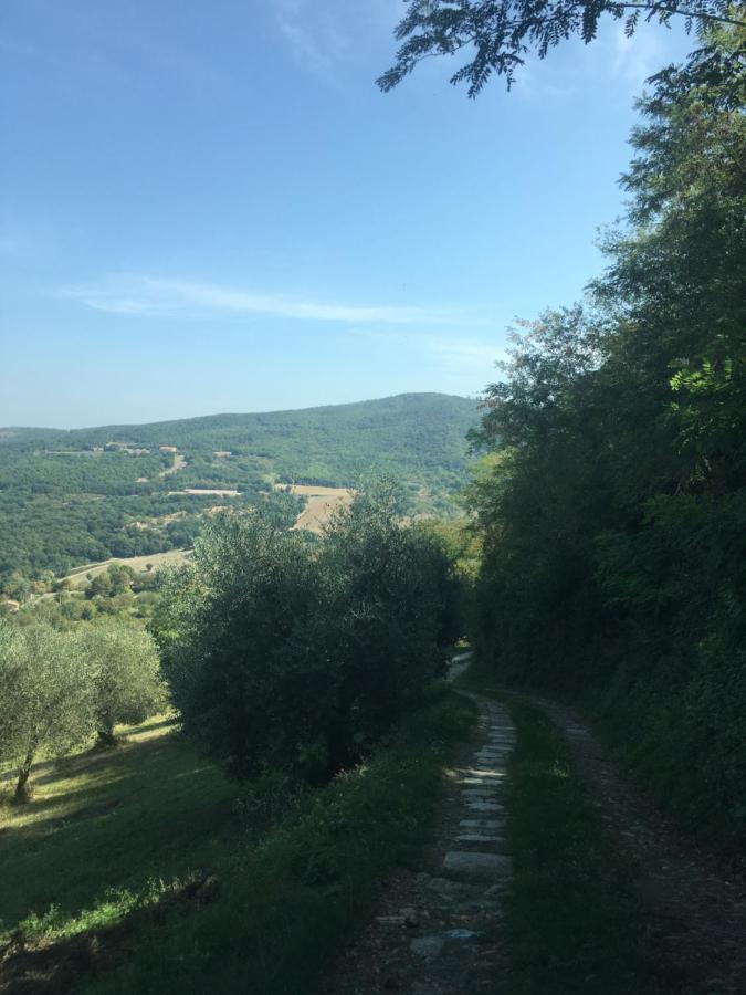 Villa San Regolino Whit Private Pool Radicondoli Екстер'єр фото
