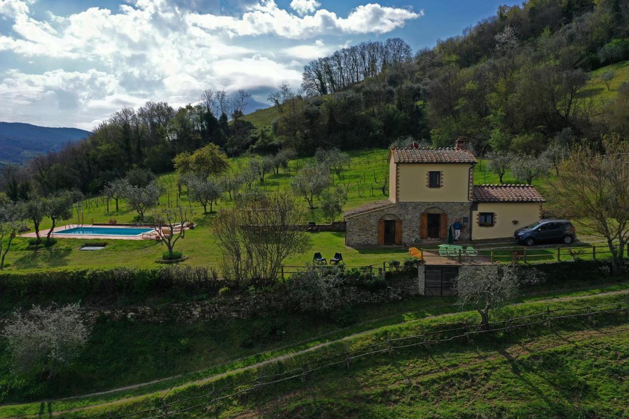 Villa San Regolino Whit Private Pool Radicondoli Екстер'єр фото