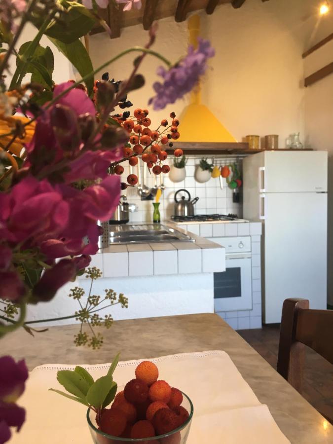 Villa San Regolino Whit Private Pool Radicondoli Екстер'єр фото